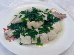 -凤城礼记鱼翅海鲜酒家(新马路总店)