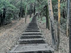 -广州市白云山风景名胜区