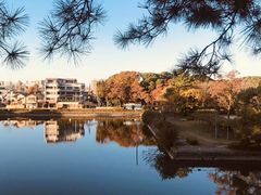 -名古屋城