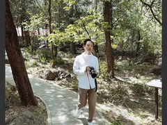 -阳台山自然风景区