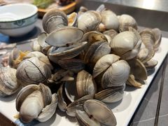水煮蚬子-老白清真烧烤(锦州旗舰店)