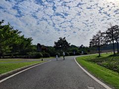 -宜兴龙背山森林公园