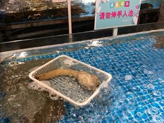 水产区-香山湖家家宴(中山陵店)