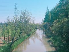 -上海长兴岛郊野公园