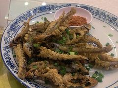-高坎一品甲鱼庄(两河店)