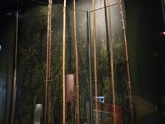 -墨尔本博物馆(Melbourne Museum)