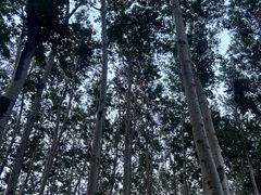 -仁和公园(顺义区)