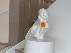 点击看大图 -智美品质医美