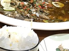 -老滇山寨•云南特色菜•地方菜•民族风情歌舞表演(金碧店)