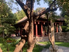 -碑林公园