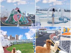 -Blue Concept Cafe&Farm·關於藍