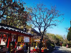 -华清宫景区