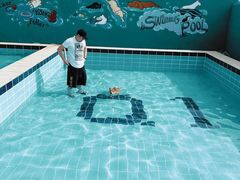 -趣玩宠物乐园寄养训犬训狗游泳池