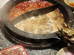 -蜀大侠火锅(建设路第五大道店)