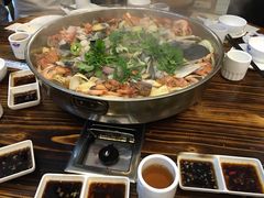 -鸭嘴鱼