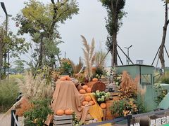 -中国天府农业博览园