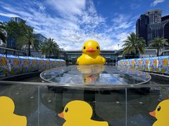 -皇庭广场(福华三路店)