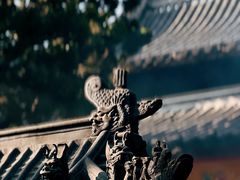 -秋霞圃