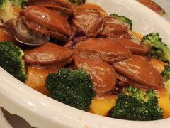 -龙的酒楼·手工早茶·顺德菜(近良路店)