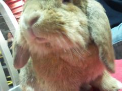 android_upload_pic-MIKAKU(万达广场上海宝山店)