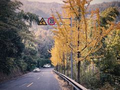 -达蓬山旅游度假区