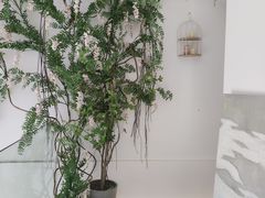 -左悦·艾灸调理·推拿按摩·精油SPA(卓悦汇店)