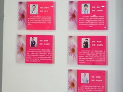 -伟伟宠物医院·CT影像中心·瑞派犬猫综合性门诊(汉口总院)