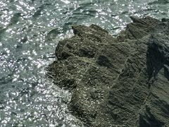 -大连金石滩国家旅游度假区