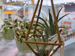 -KKV(深圳宏发大仟里店)