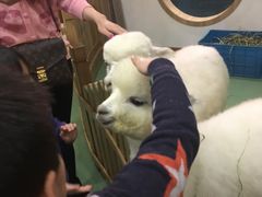 -藦茜花园宠物主题亲子互动体验馆(国顺东路店)