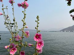 -大理洱海