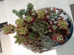 -颜蕾医美·黄金微针·水光·玻尿酸·超声炮·抗衰中心