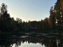 -东湖落雁景区