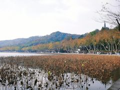-北山街历史文化街区