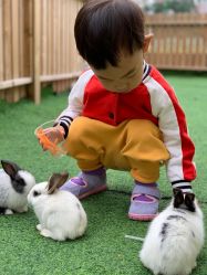 -萌宠亲子动物乐园(槐房万达店)