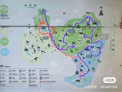 -红山森林动物园