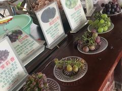 -马陆小张葡萄园农家乐