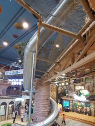 点击看大图 -卡通尼·Safari非洲探索乐园·生日会(金桥国际商业广场店)