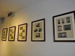 博物馆之旅&nbsp;134-上海昆虫博物馆