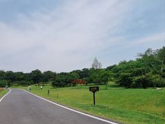 -宜兴龙背山森林公园