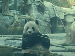 -武汉动物园