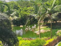 -童趣廊·儿童波波池·海洋球(长隆横琴湾酒店)