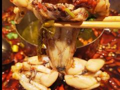 -蛙两只美蛙鱼头火锅(恒茂店)