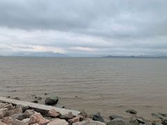 -深圳湾公园(南山区)