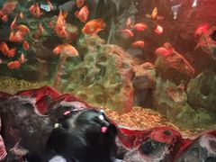 -苏州海洋馆
