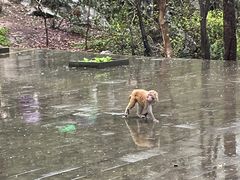 -千岛湖东南湖区