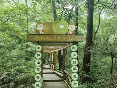 -大岭沟猕猴桃谷风景区