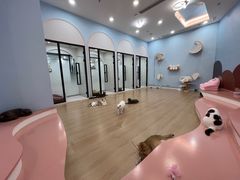 -1013 PET SHOP 宠物商店(近铁城市广场店)