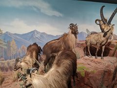 -陕西自然博物馆