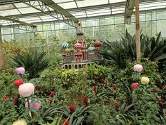 -南宫五洲植物乐园